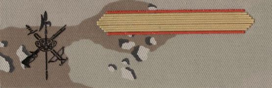 Divisas tropa uniforme árido mimetizado