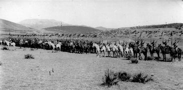 Formación en línea