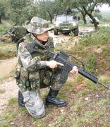 Uniforme campaña boscoso GCR II (2008)