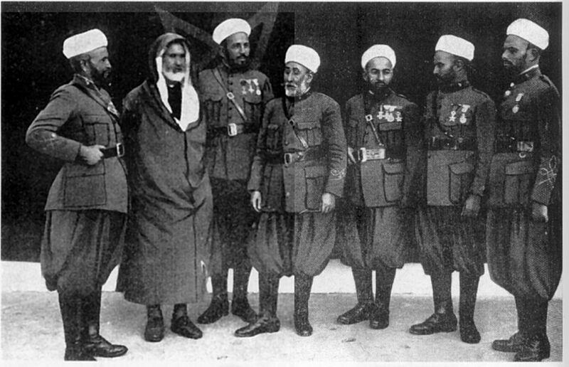 Mehal-la Jalifiana - Caballipedia